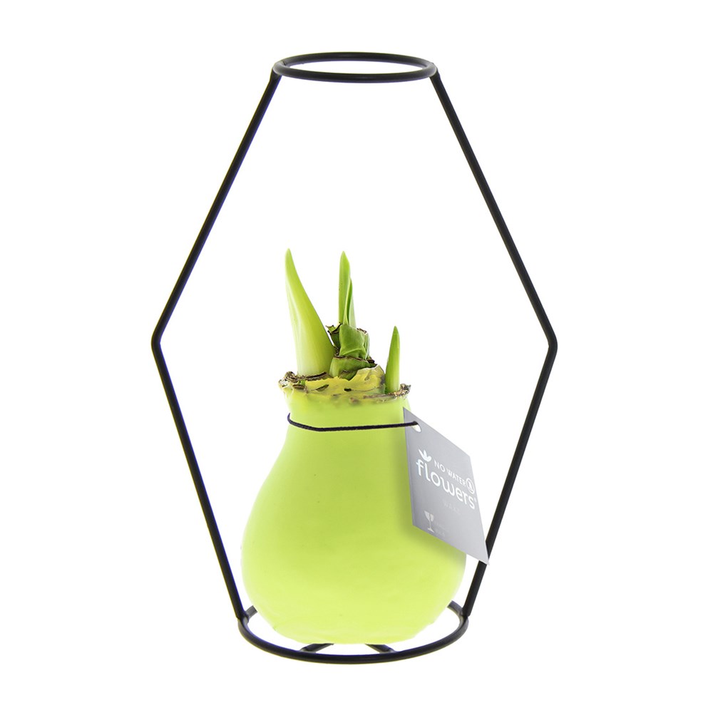 pastel groen