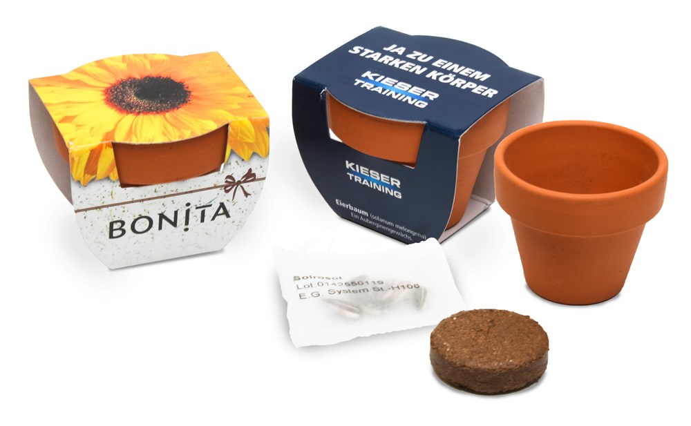 Terracotta pot klein, Aardbei