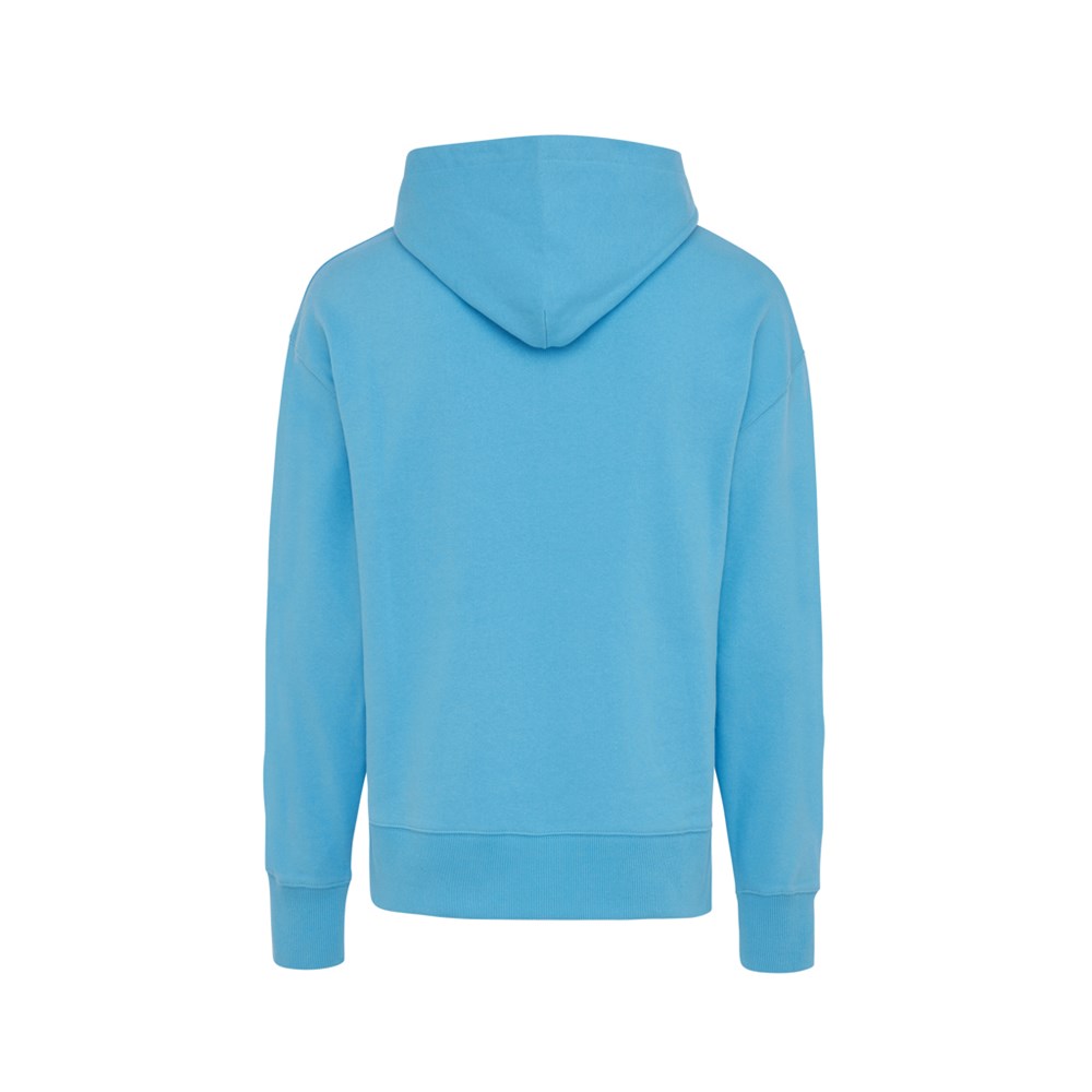 Iqoniq Yoho gerecycled katoen relaxed hoodie