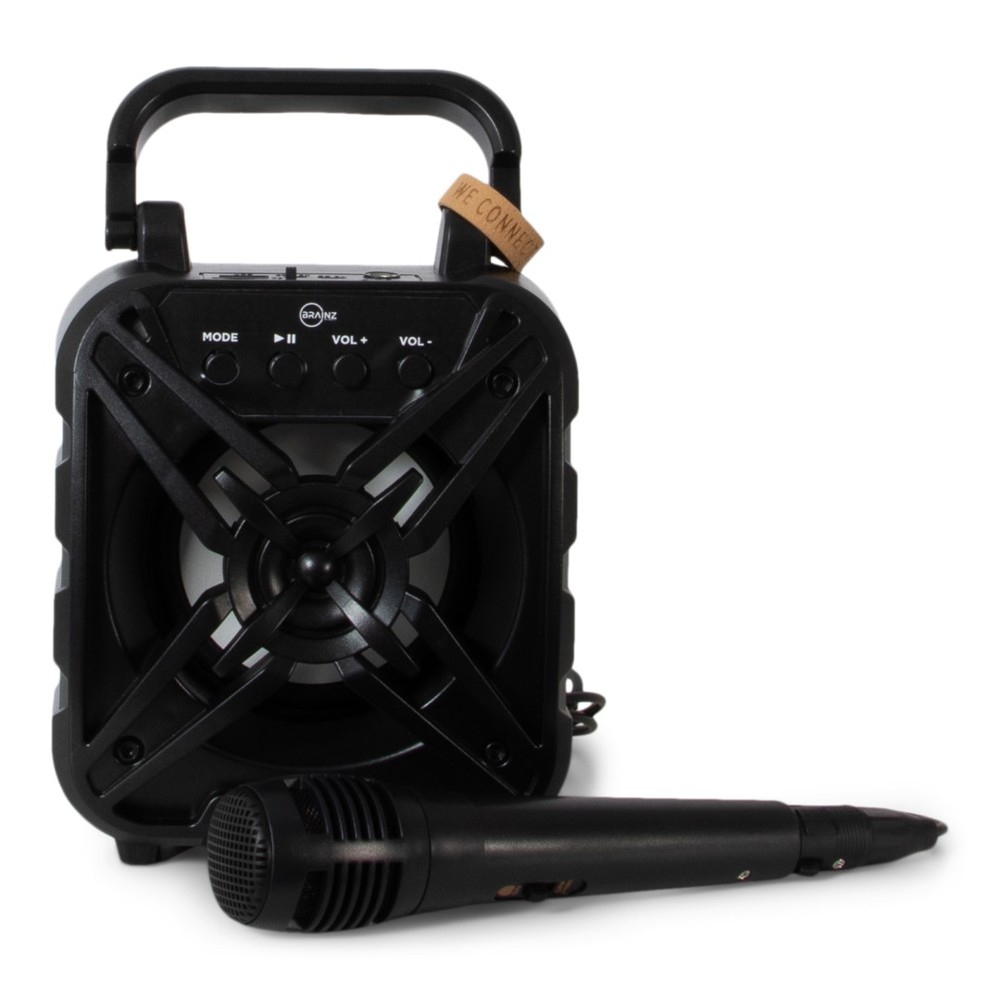 BRAINZ Karaoke Speaker Wheatstraw